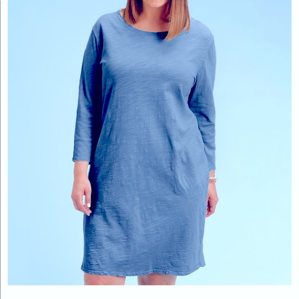 Fresh Produce Clothing Simple Shift Dress, 1X